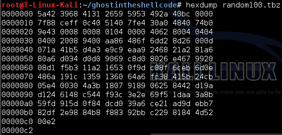 header of a random.tbz file